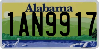 AL license plate 1AN9917