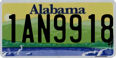 AL license plate 1AN9918