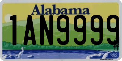AL license plate 1AN9999