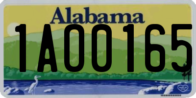 AL license plate 1AO0165