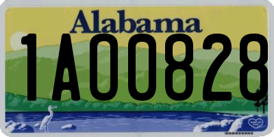 AL license plate 1AO0828