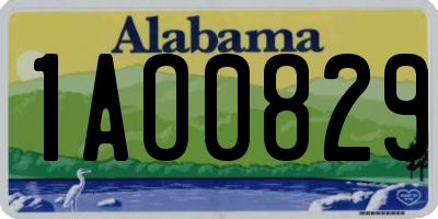AL license plate 1AO0829