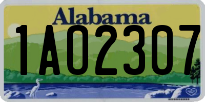 AL license plate 1AO2307