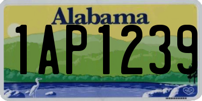 AL license plate 1AP1239