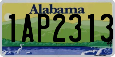 AL license plate 1AP2313