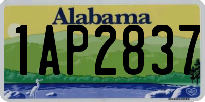 AL license plate 1AP2837