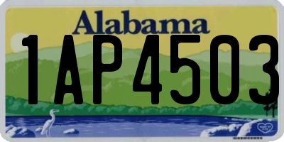 AL license plate 1AP4503