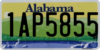 AL license plate 1AP5855