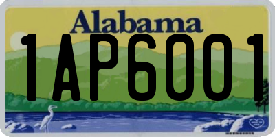 AL license plate 1AP6001