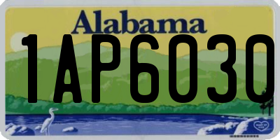 AL license plate 1AP6030