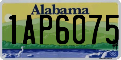 AL license plate 1AP6075