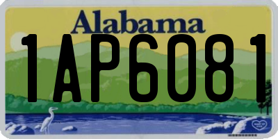 AL license plate 1AP6081
