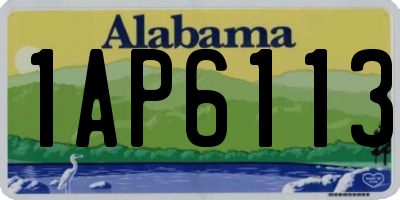 AL license plate 1AP6113