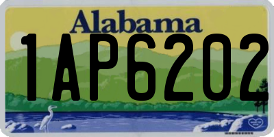 AL license plate 1AP6202