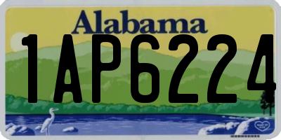 AL license plate 1AP6224