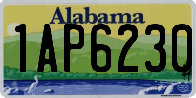 AL license plate 1AP6230