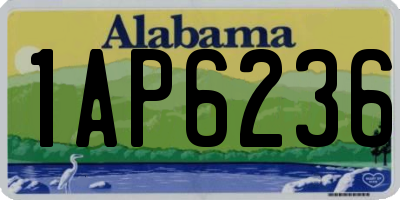 AL license plate 1AP6236