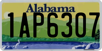 AL license plate 1AP6307