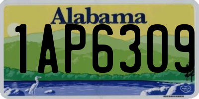 AL license plate 1AP6309