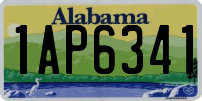 AL license plate 1AP6341