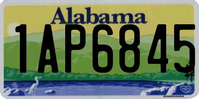 AL license plate 1AP6845