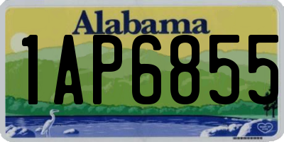 AL license plate 1AP6855