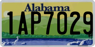 AL license plate 1AP7029