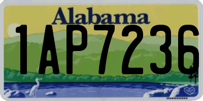 AL license plate 1AP7236