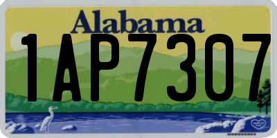 AL license plate 1AP7307