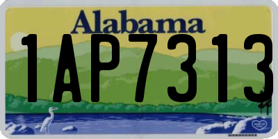 AL license plate 1AP7313
