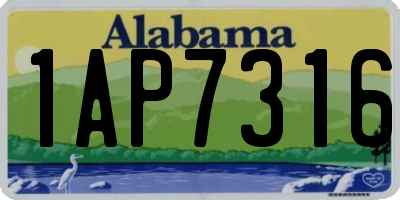 AL license plate 1AP7316