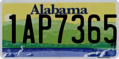 AL license plate 1AP7365