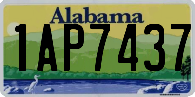 AL license plate 1AP7437