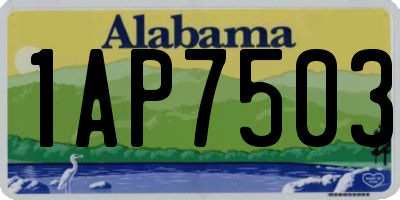 AL license plate 1AP7503