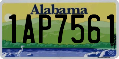 AL license plate 1AP7561