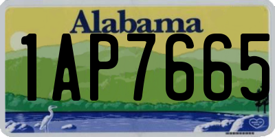 AL license plate 1AP7665