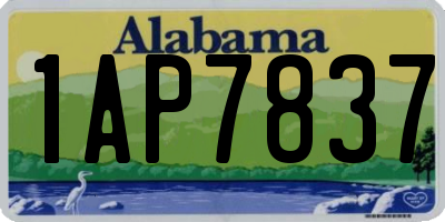 AL license plate 1AP7837