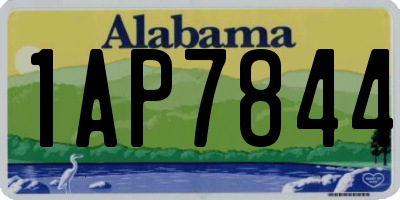 AL license plate 1AP7844