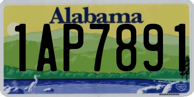 AL license plate 1AP7891