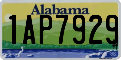 AL license plate 1AP7929