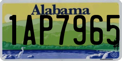 AL license plate 1AP7965