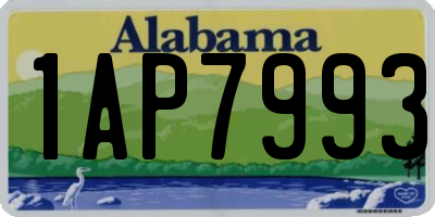 AL license plate 1AP7993