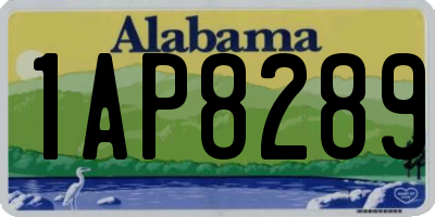 AL license plate 1AP8289