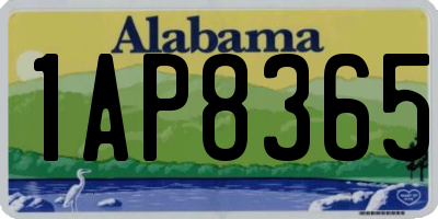 AL license plate 1AP8365