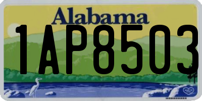AL license plate 1AP8503
