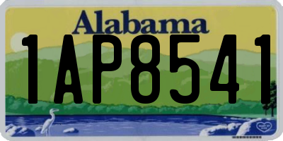 AL license plate 1AP8541