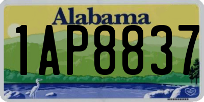 AL license plate 1AP8837