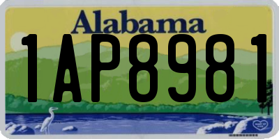 AL license plate 1AP8981