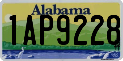 AL license plate 1AP9228