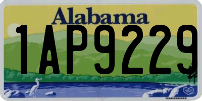 AL license plate 1AP9229